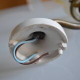 Swan neck wall lamp and its tulip, early 20th century.