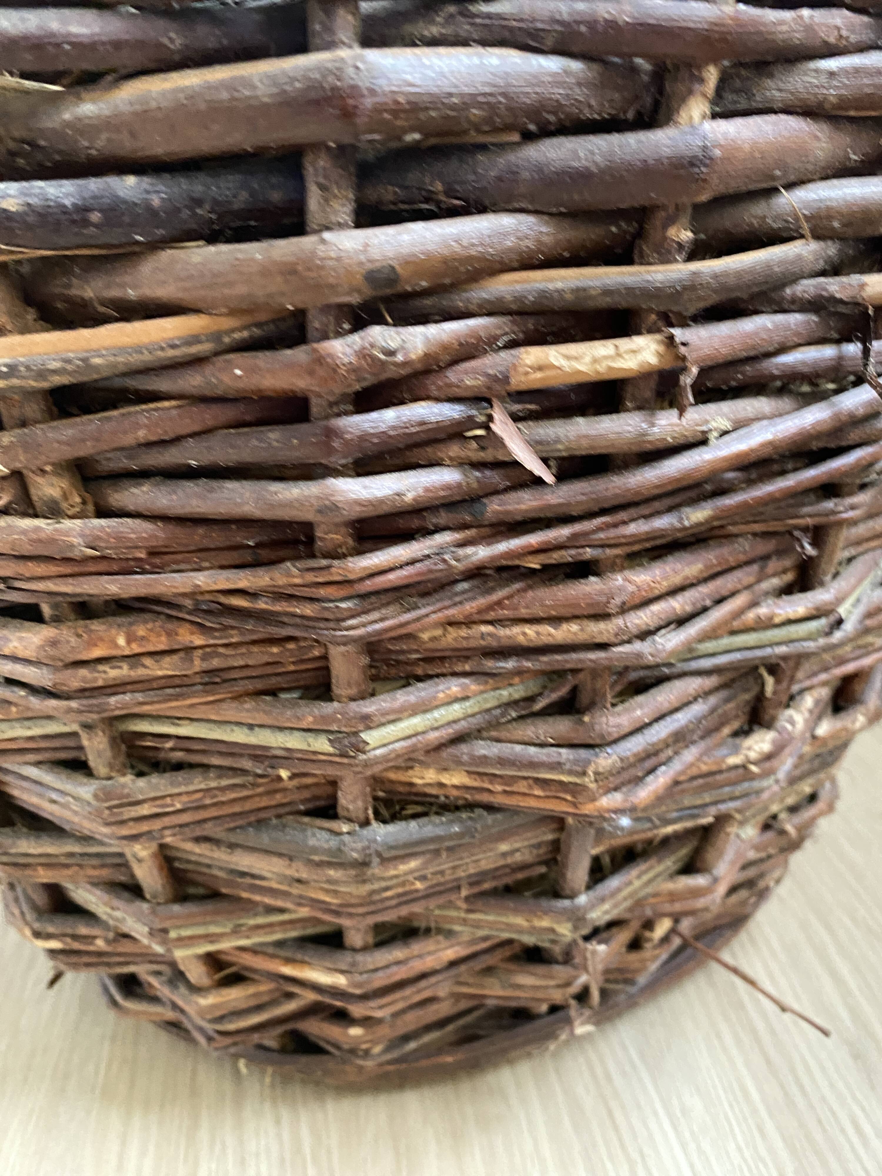 Dame Jeanne in her vintage wicker case