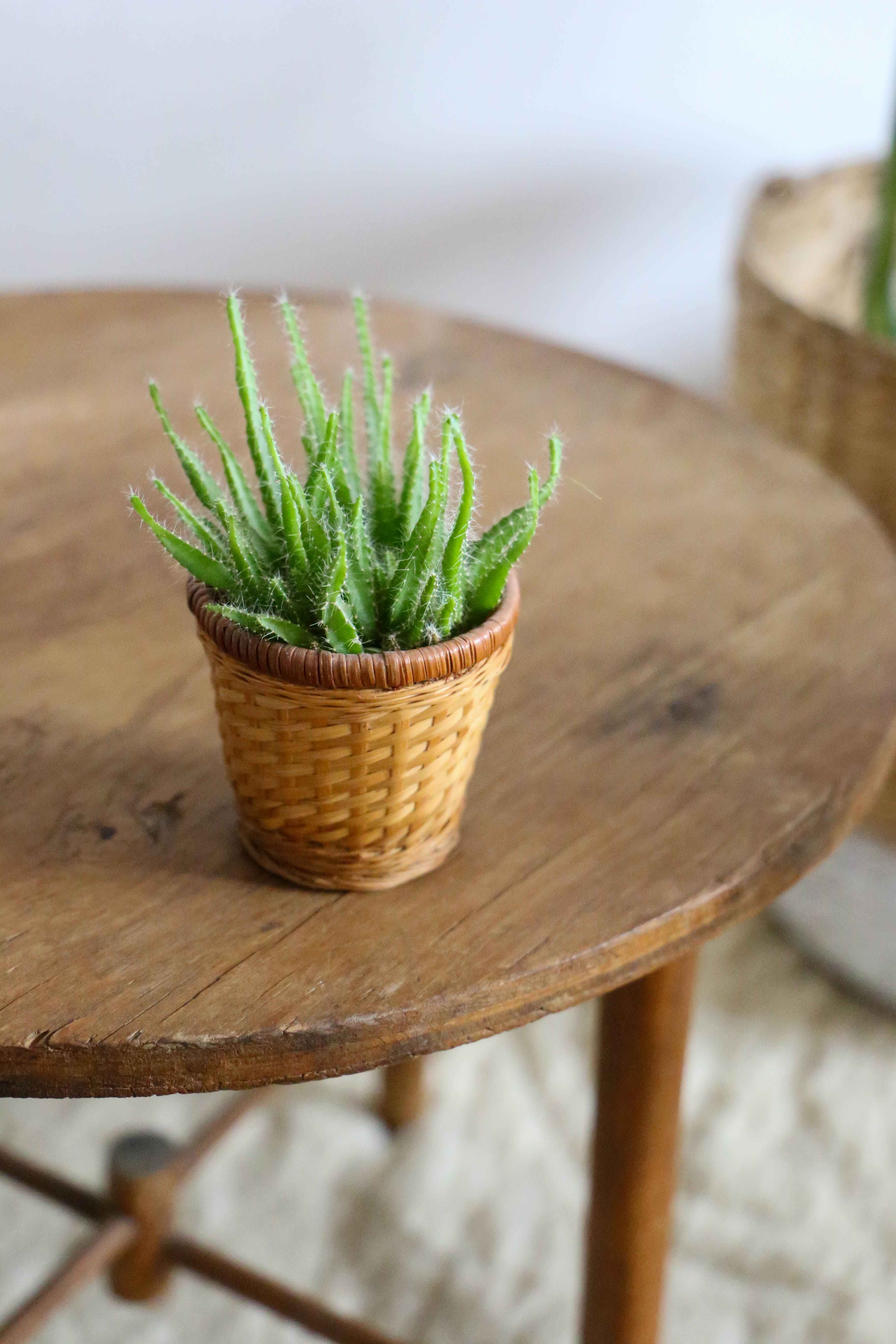 Rustic wooden side table, vintage