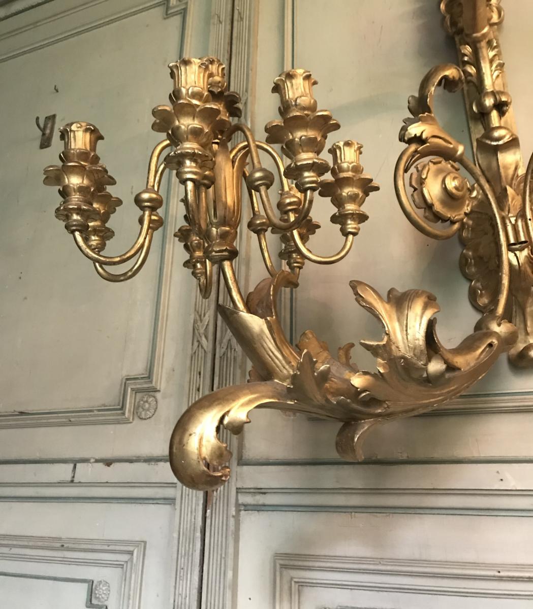 Pair of monumental wall light in golden wood