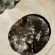 Dish in petrified wood