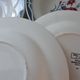 Set of 6 mismatched hollow plates Digoin Sarreguemines models Olga and Nina Rosa