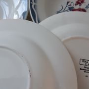 Set of 6 mismatched hollow plates Digoin Sarreguemines models Olga and Nina Rosa