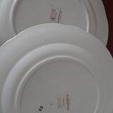Assiettes fleurs rose