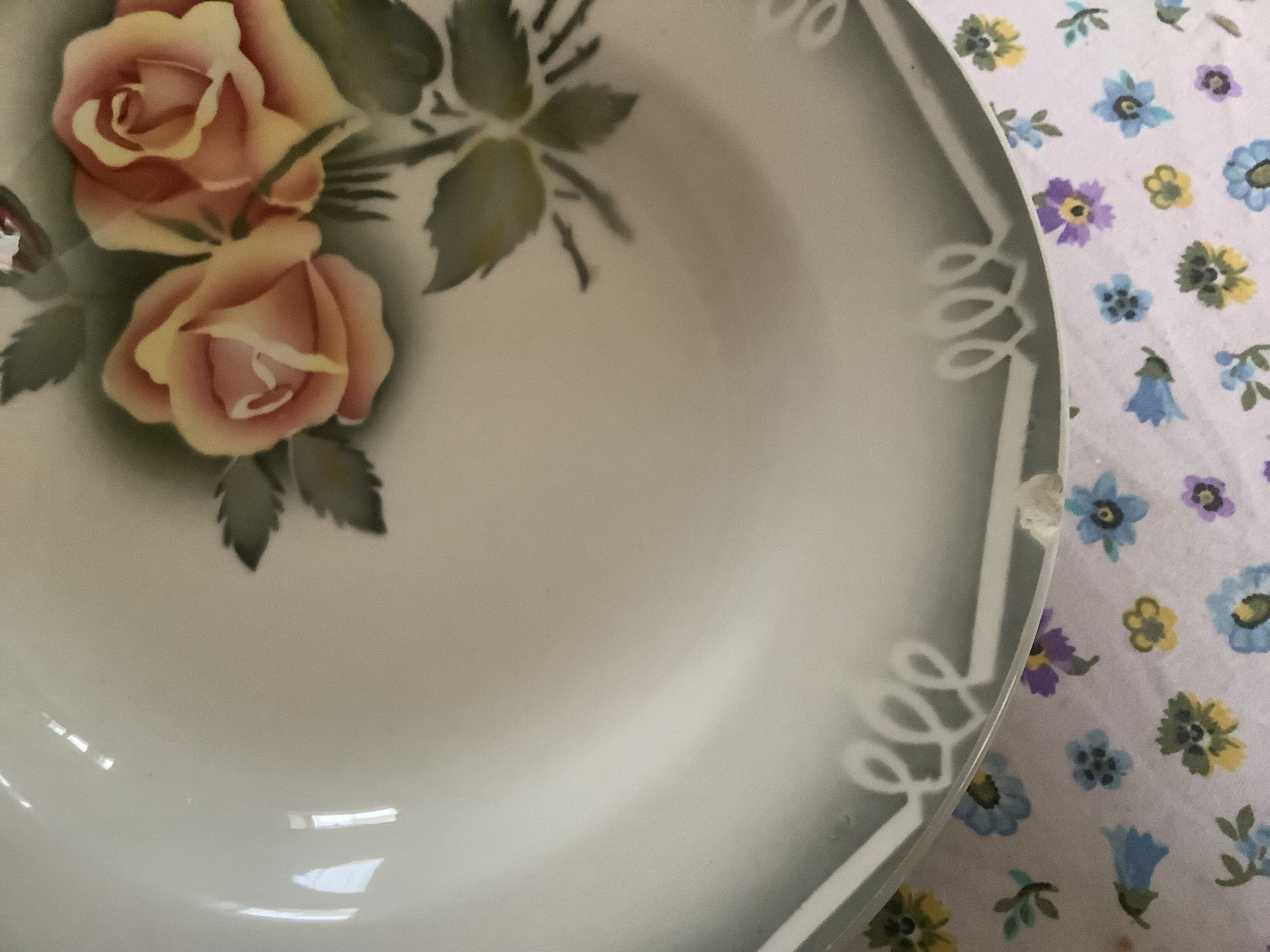 Set of 4 Digoin hollow plates