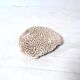Natural white coral