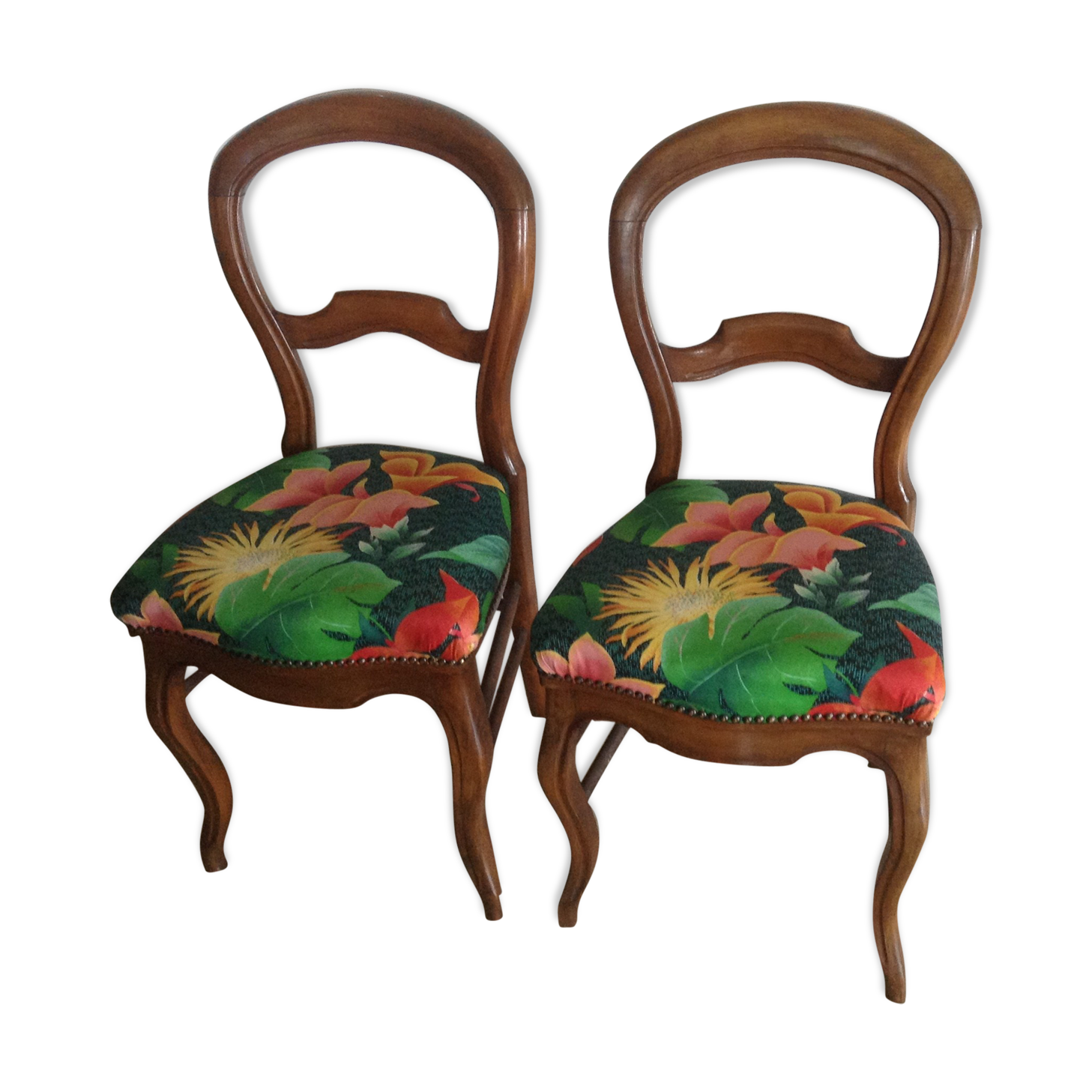 Pair of old chairs in walnut