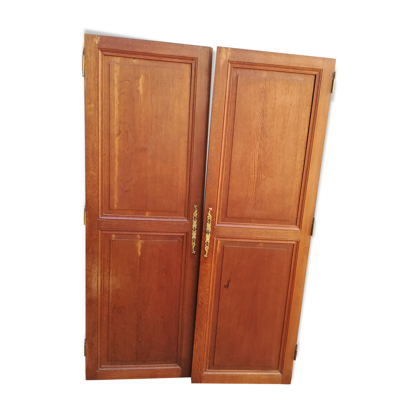 Pair of oak cabinet doors