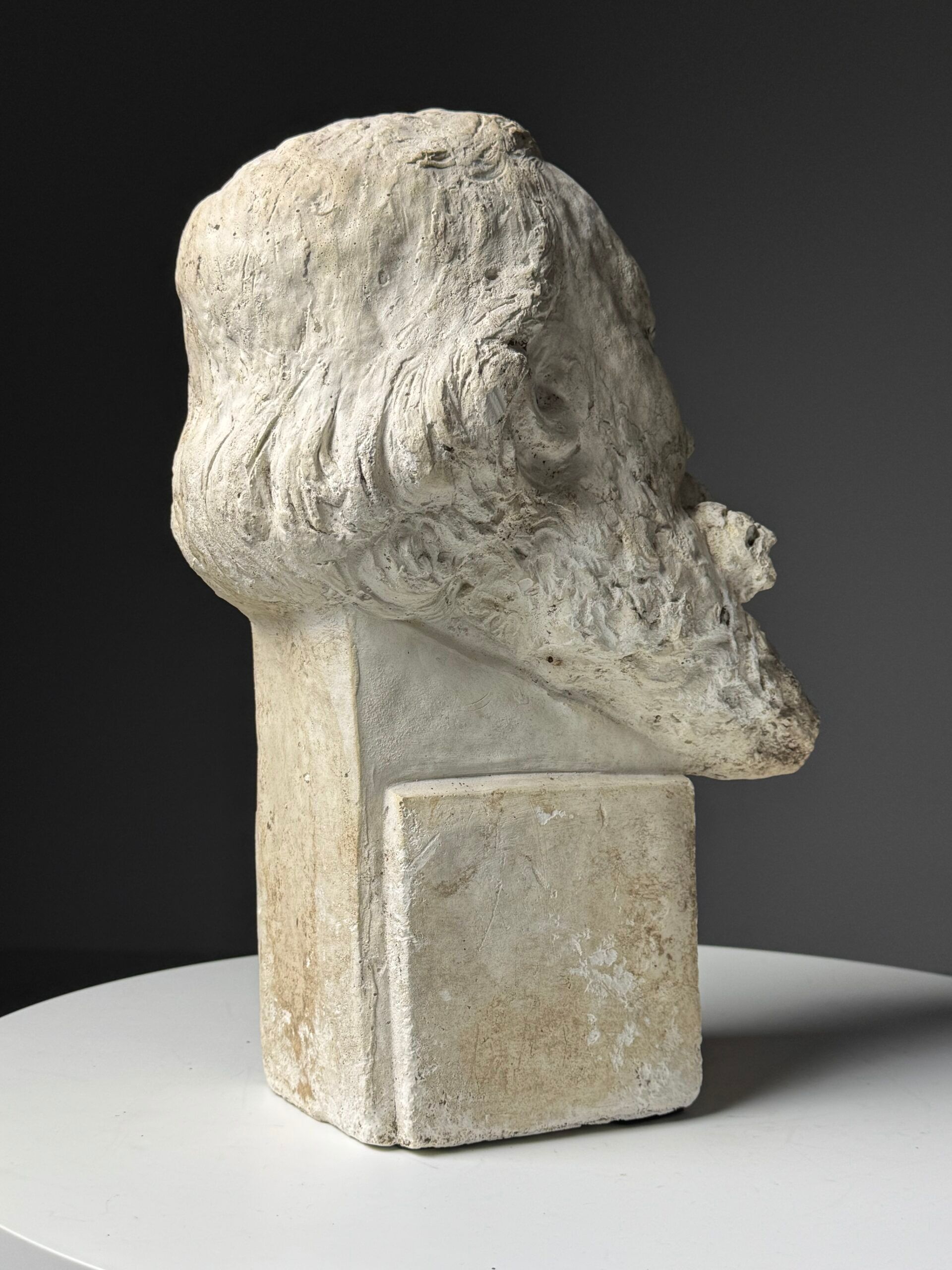 Plaster bust classic head