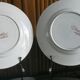 2 anciennes assiettes plates à fleurs rose poinçonner terre de fer hamage st amand "jardinière"