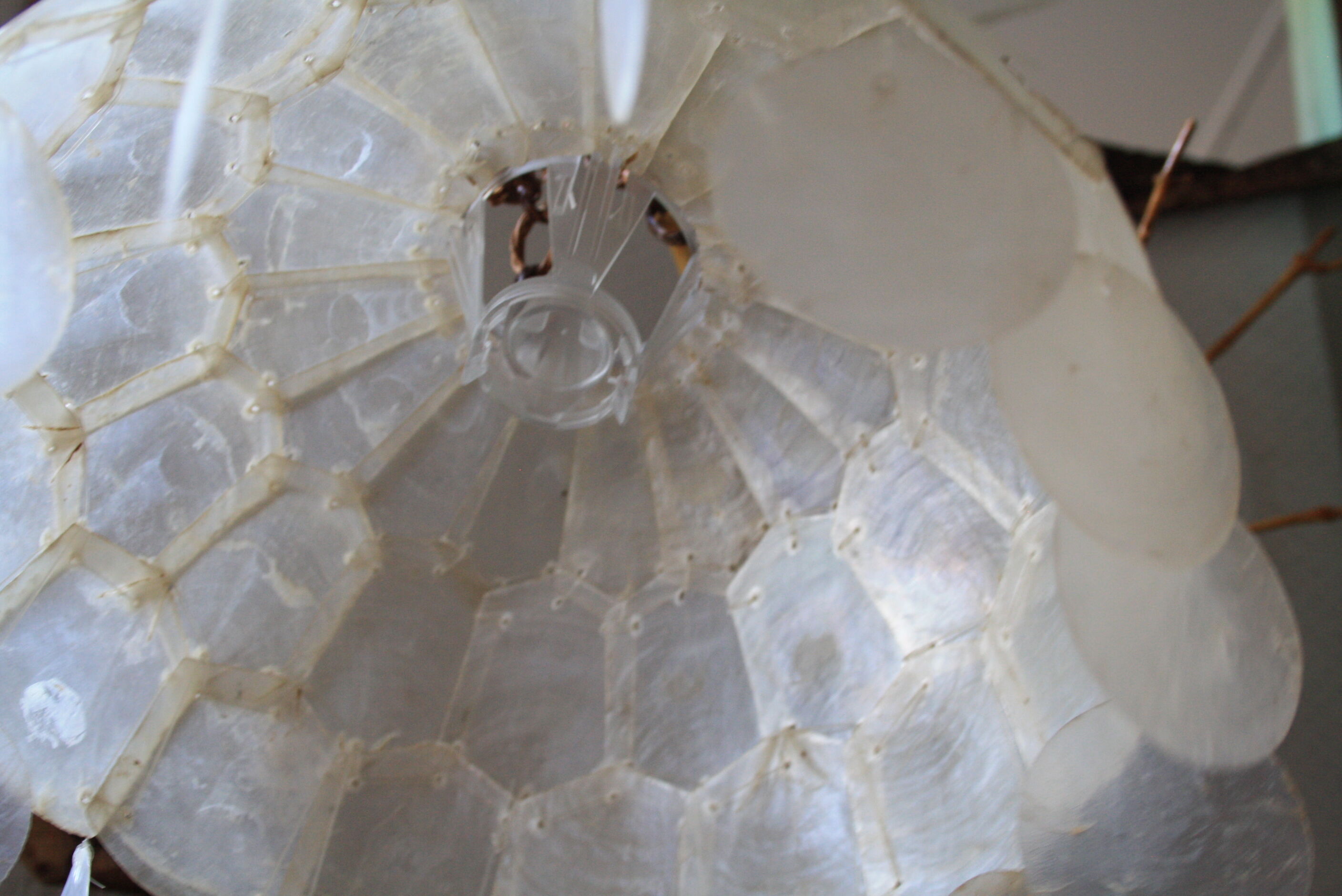 Abat day in mother-of-pearl