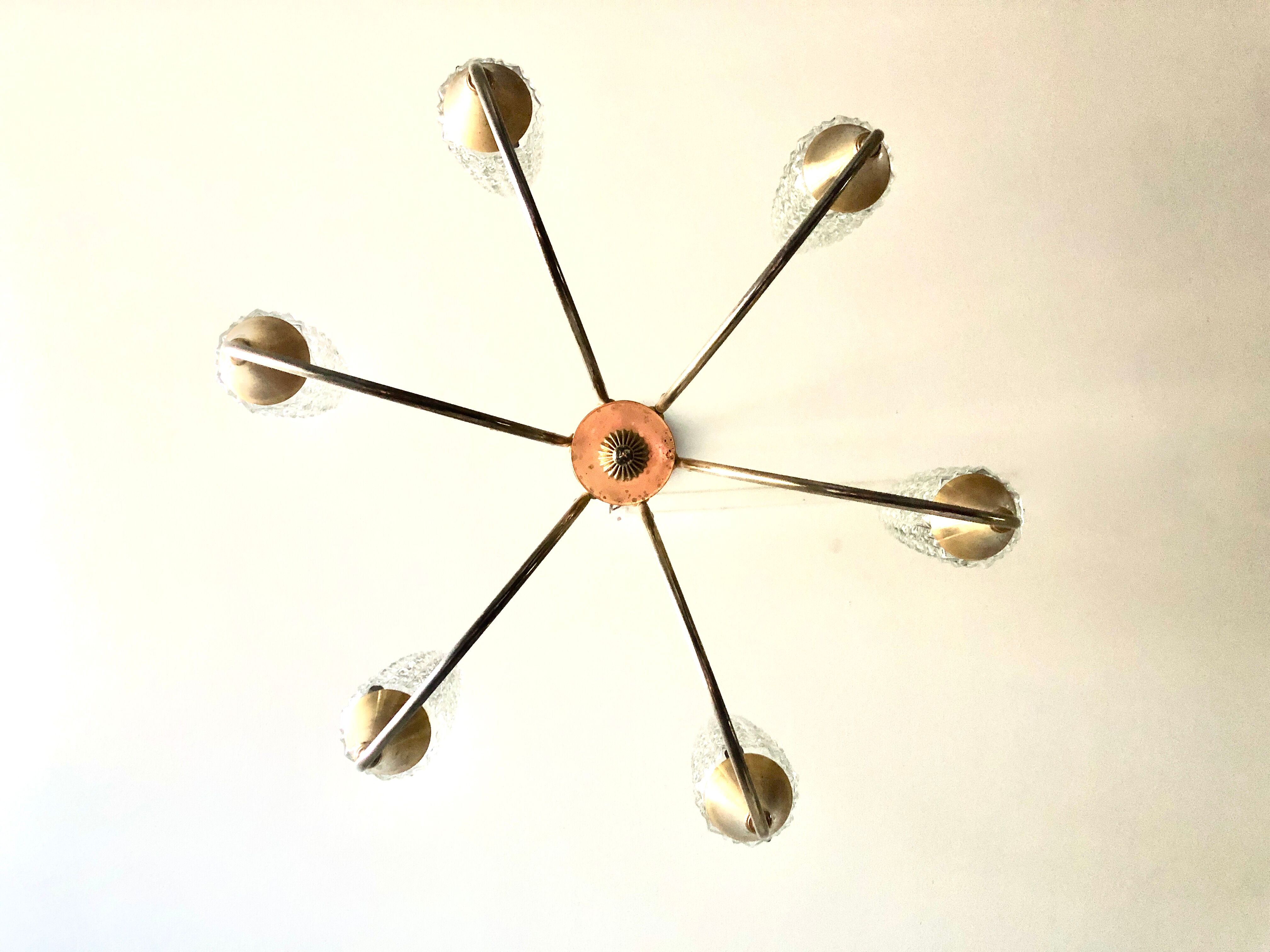 Lustre doré néoclassique 6 tulipes 1960