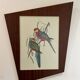 Lithographie perroquet ancienne