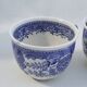 Villeroy & Boch coffee set décor Burgenland blue - 6 cups + 6 saucers