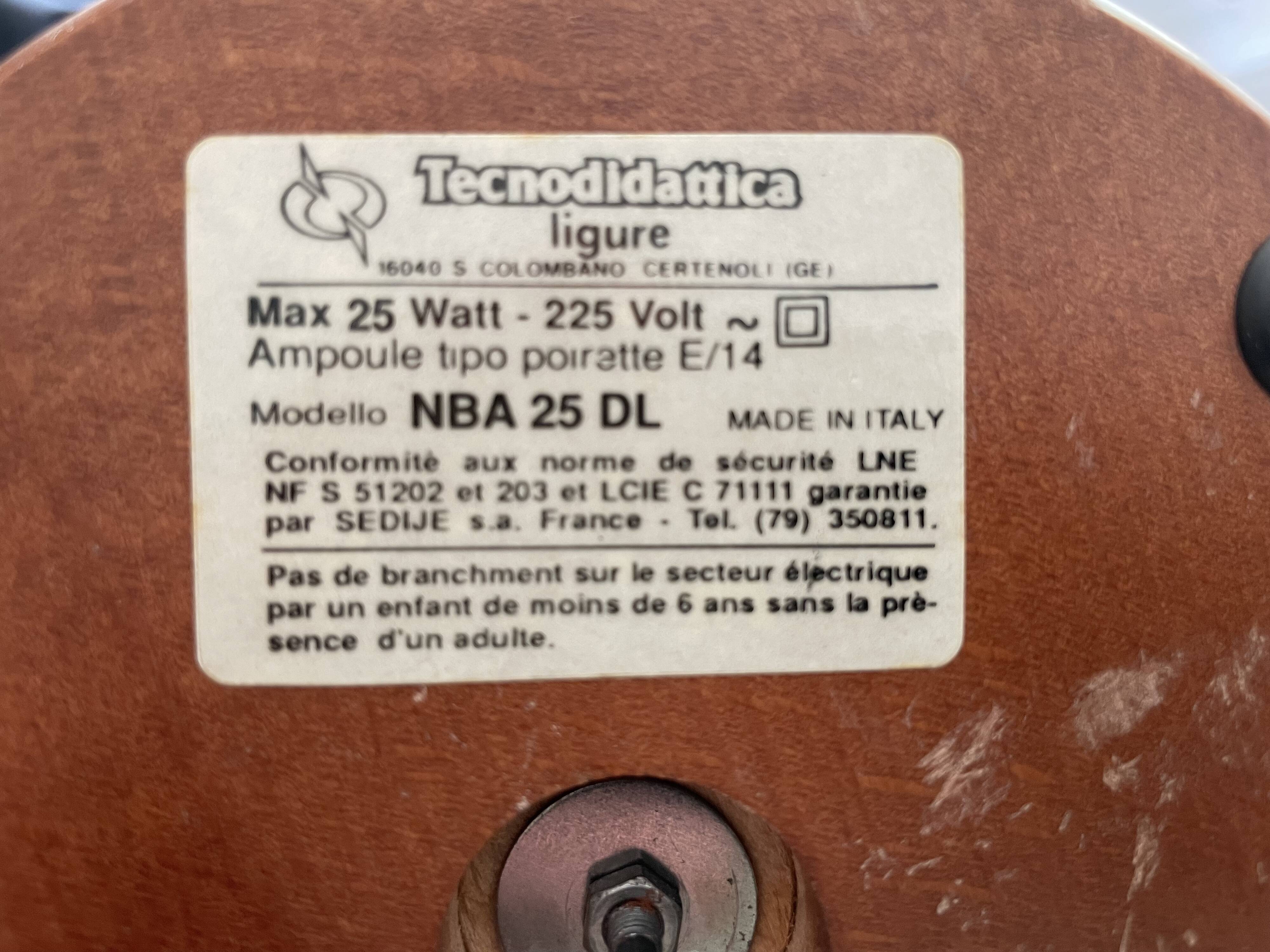 Tecnodidattica terrestrial globe