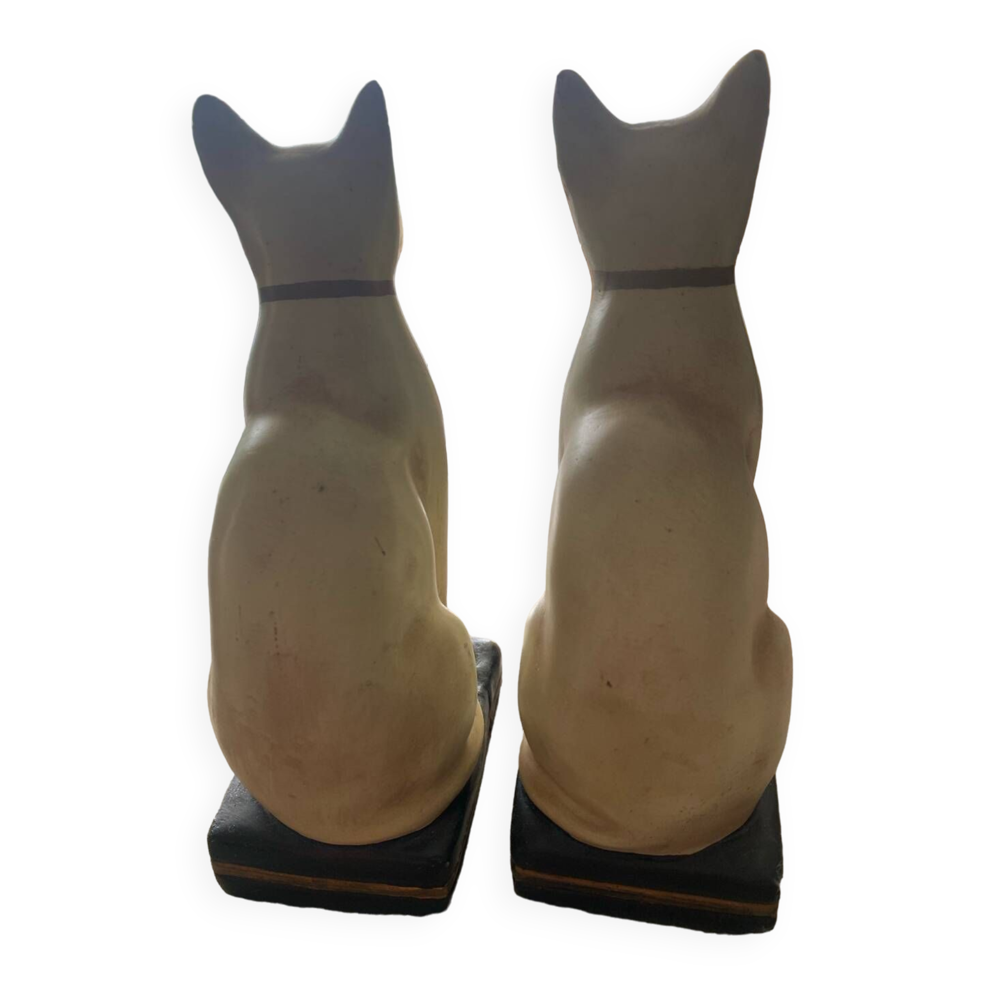 Serre livres chat