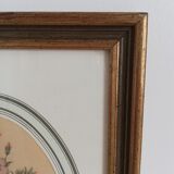 Old watercolor frame 1950