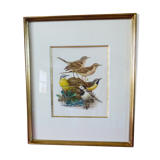 Birds - former collection Hepatior N ° 4