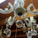 Grape variety chandelier