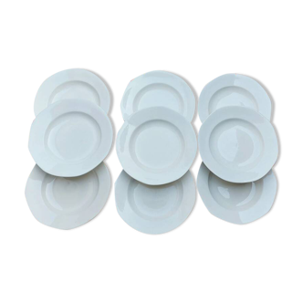 9 Sarreguemines soup plates