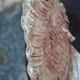 Ceramic fish statuette signed