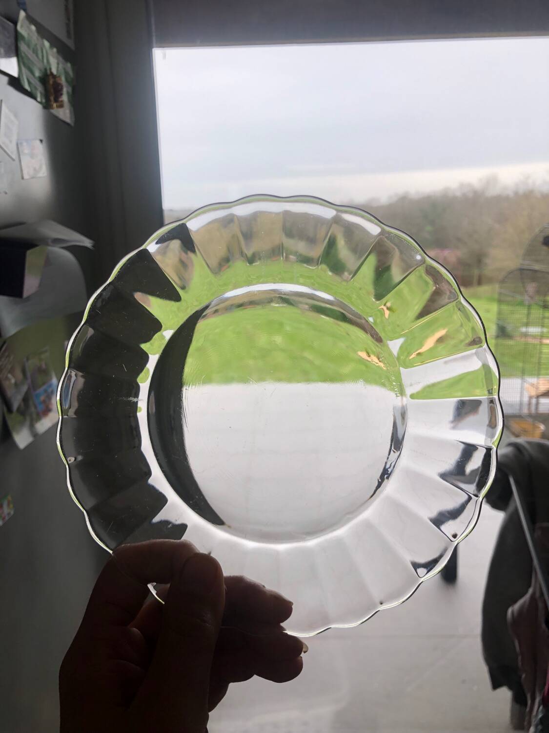 Duralex dessert plates in the shape of a daisy flower, transparent glass