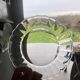 Duralex dessert plates in the shape of a daisy flower, transparent glass