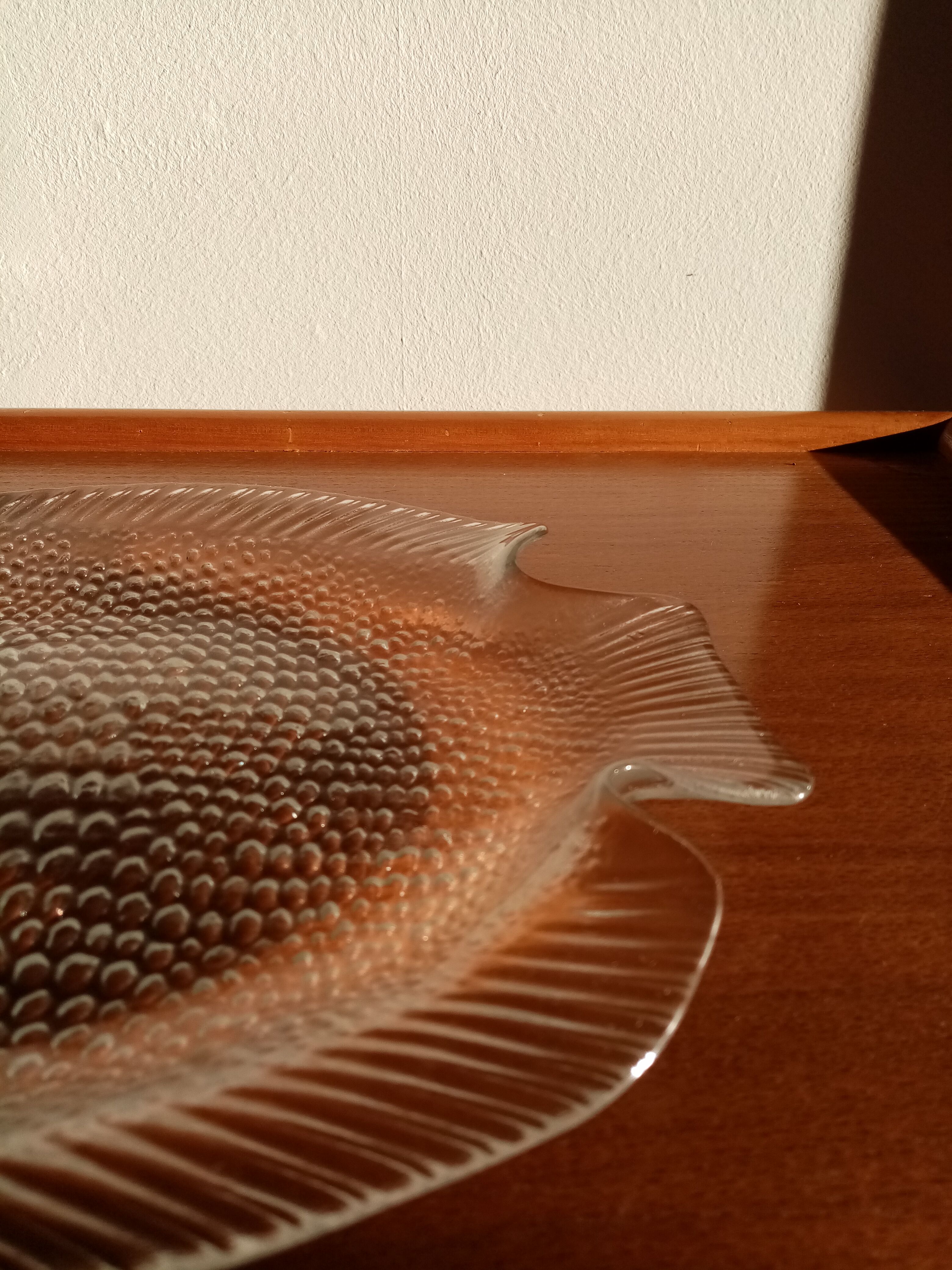 Arcoroc Fish Service