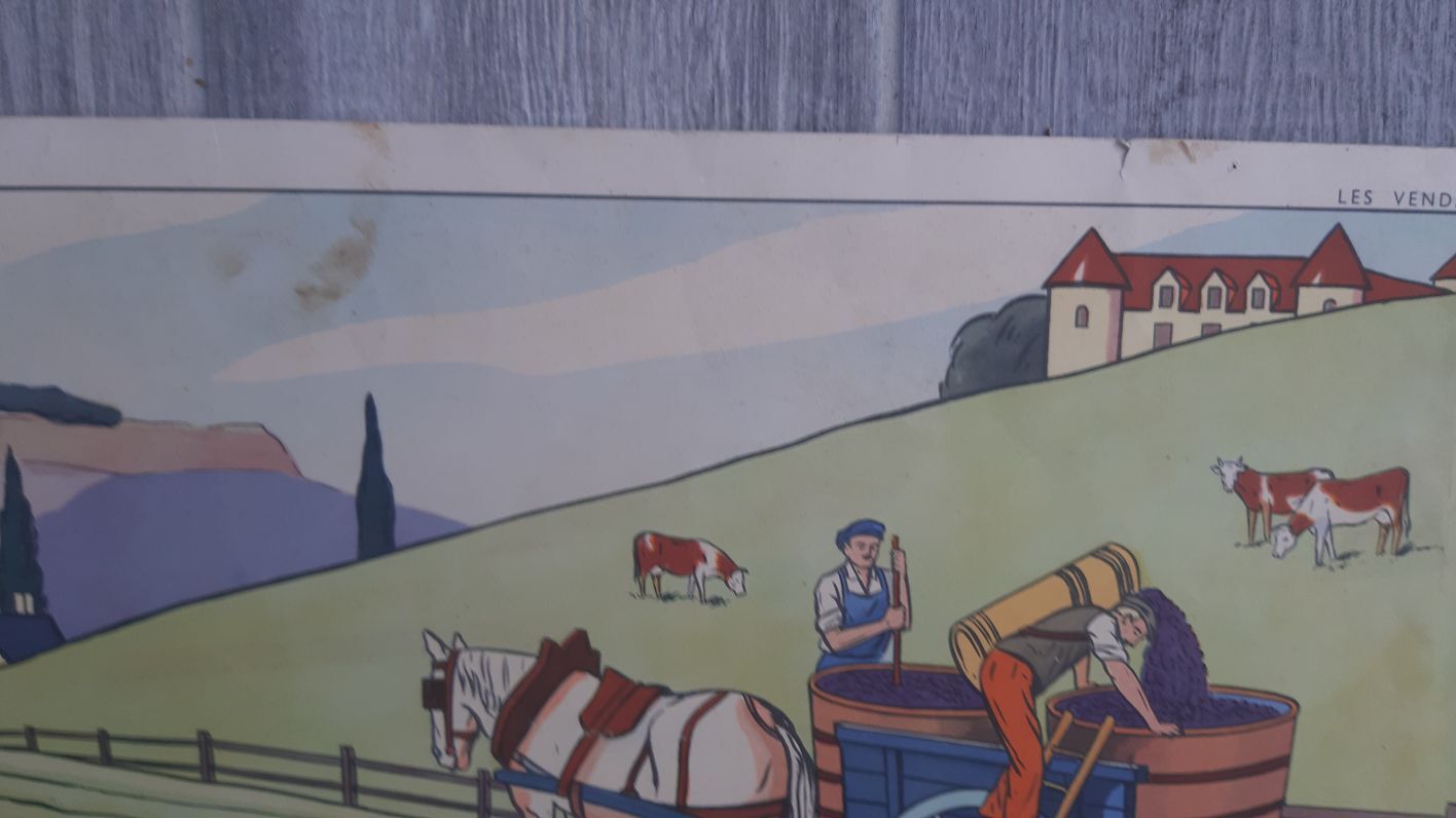 Rossignol school poster