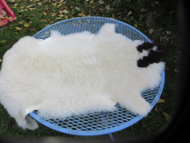 Sheepskin