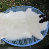 Sheepskin