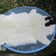 Sheepskin