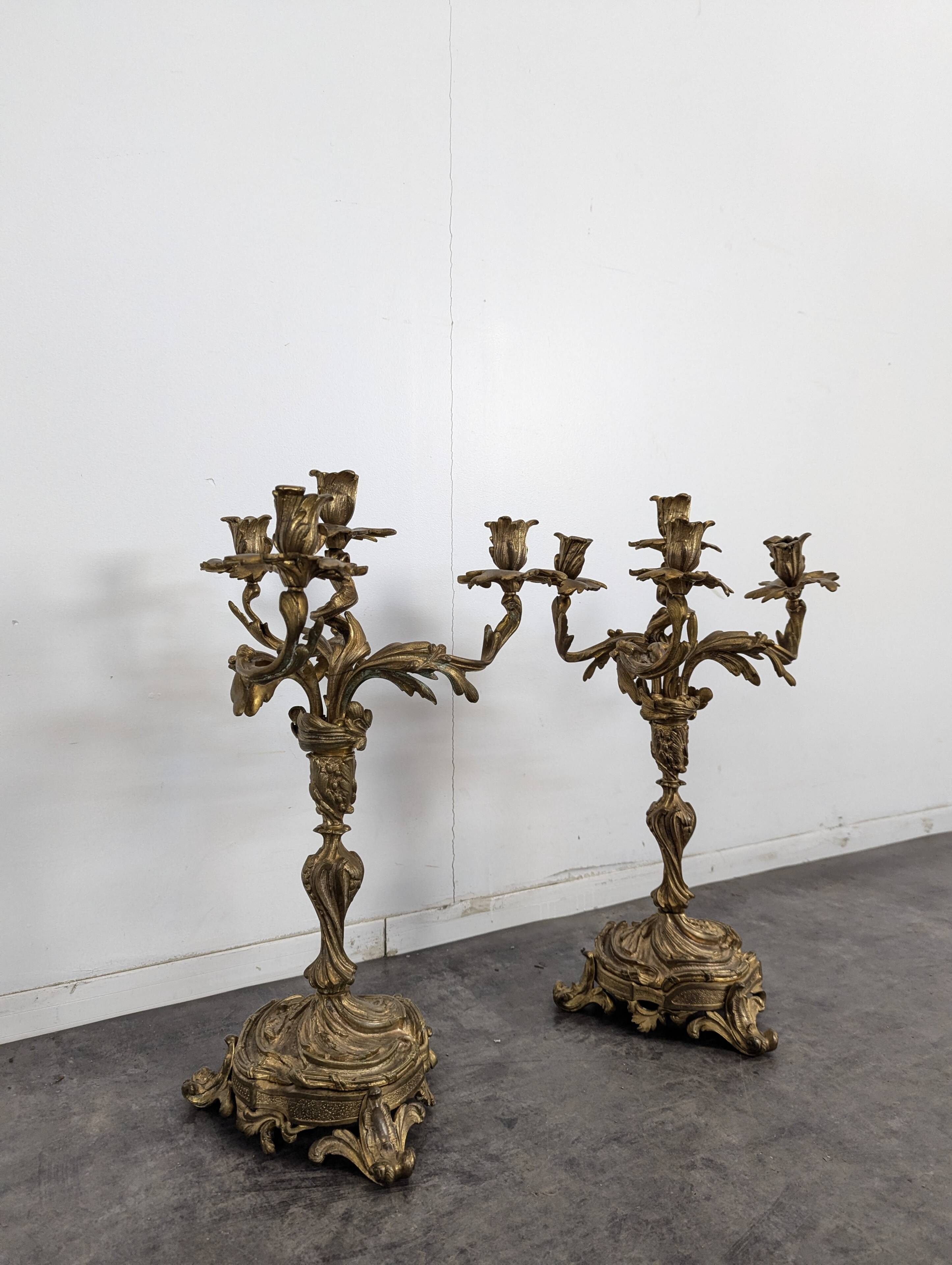 Pair of Candle Holders or Candelabra in Gilded Bronze