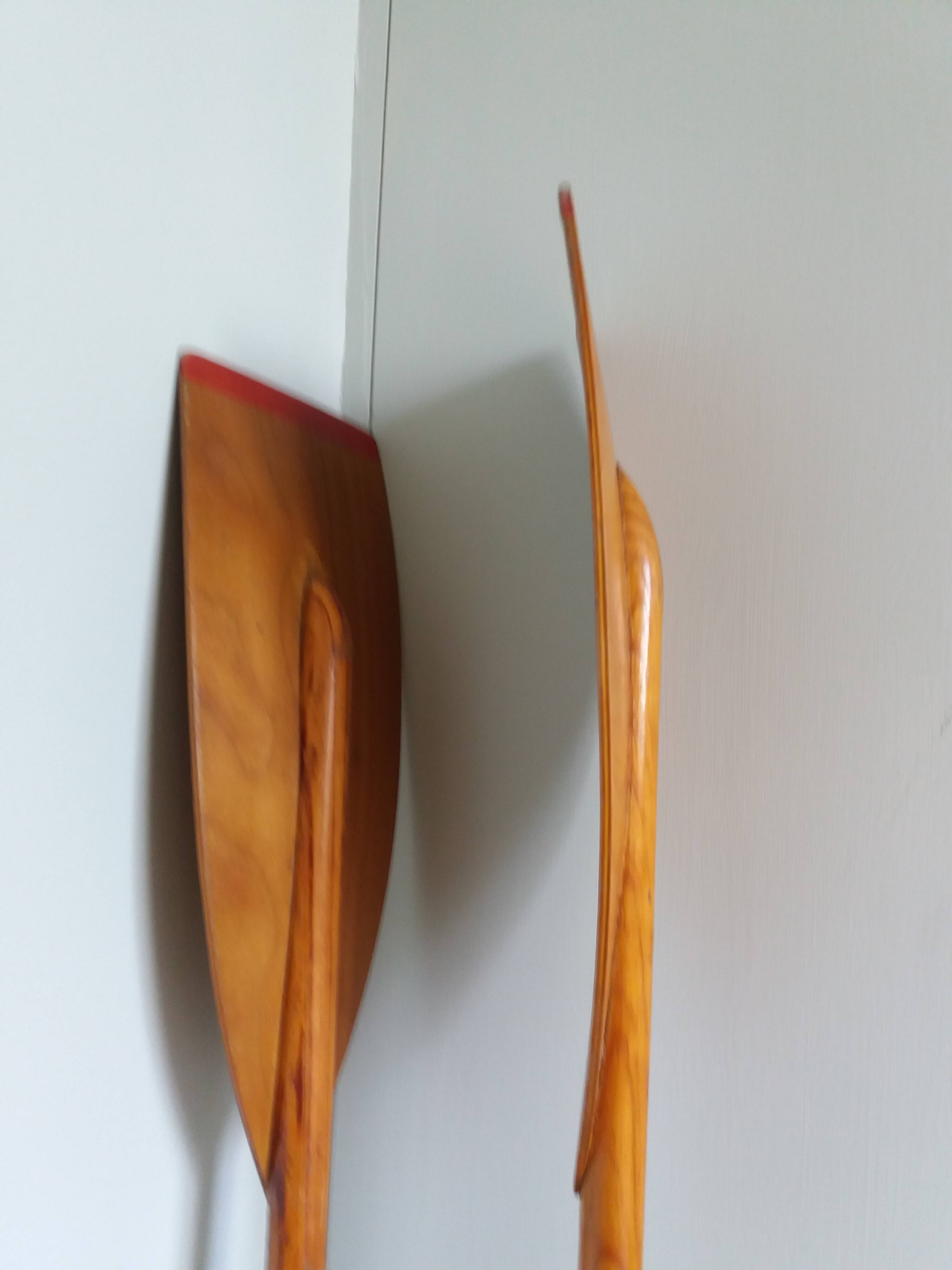 Nautisport oar paddles