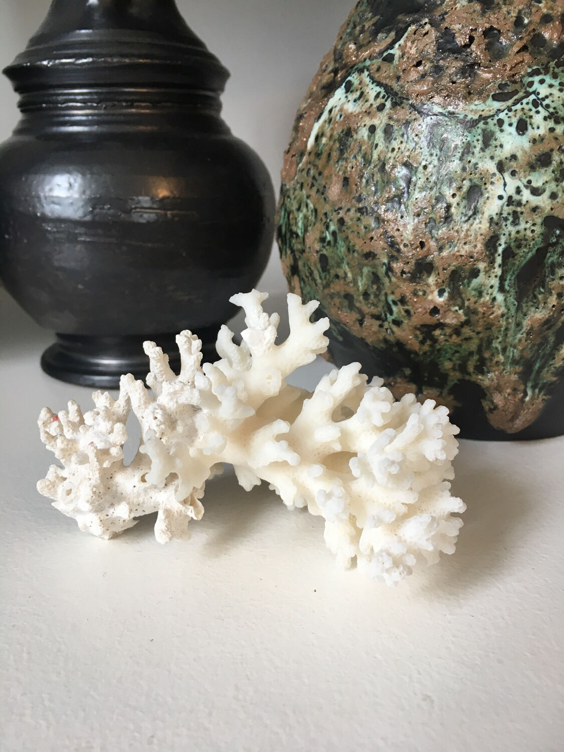 Old branch of white natural coral / 1970s
