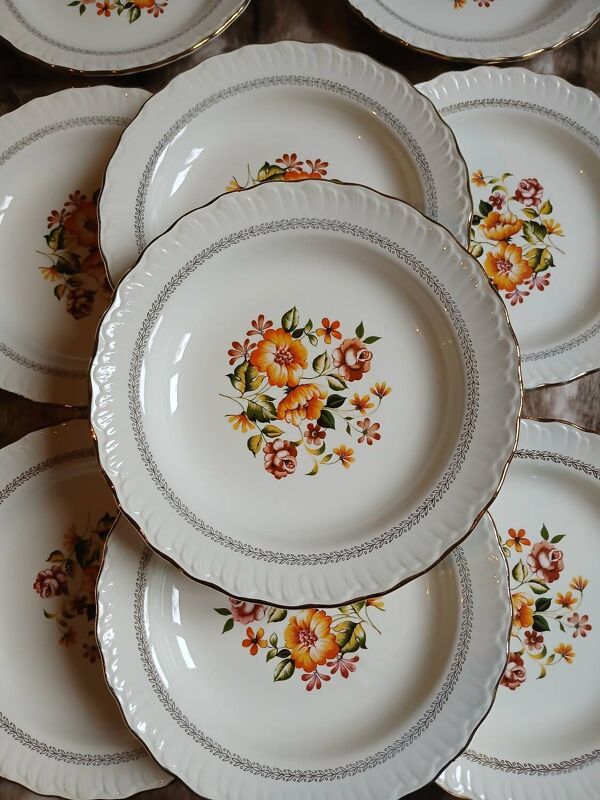 12 assiettes creuses anciennes ''Capri