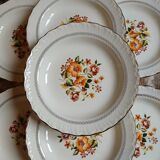 12 assiettes creuses anciennes "Capri "