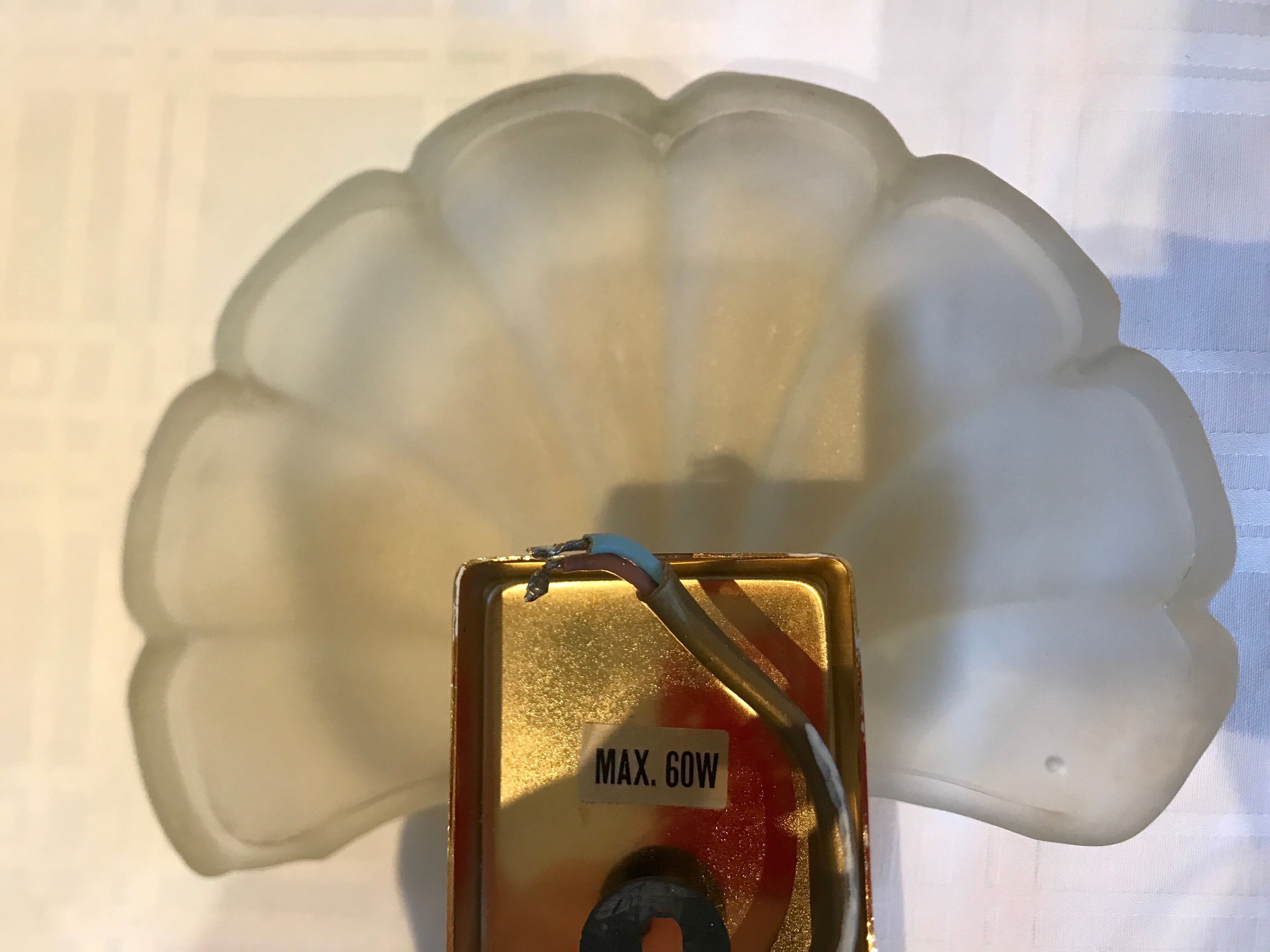 Pair of shell sconces