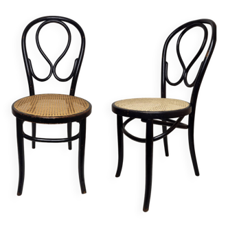 Pair of Art Nouveau Omega Chairs in bent wood, blackened