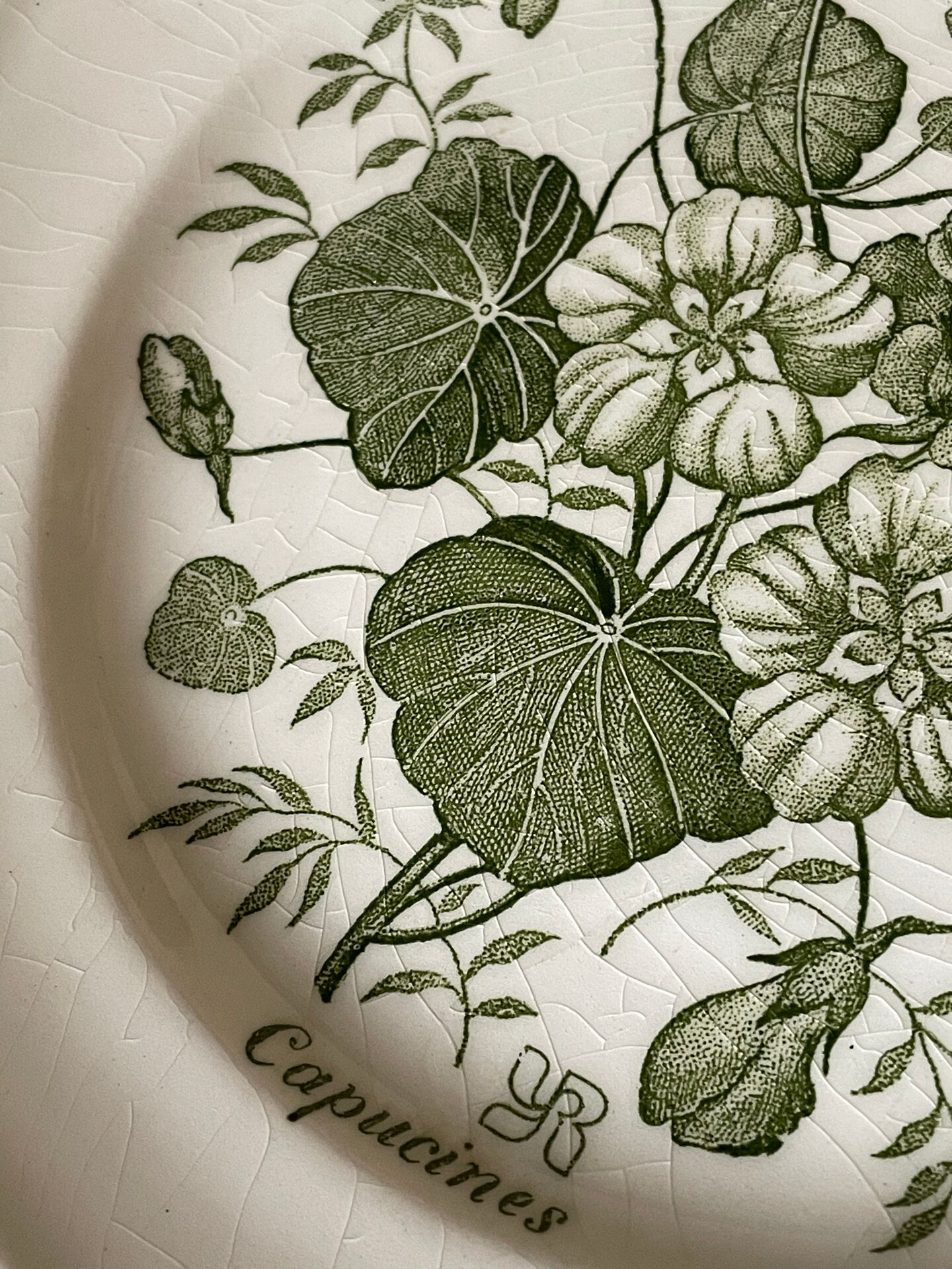 Five dessert plates "capucines" in Gien earthenware.