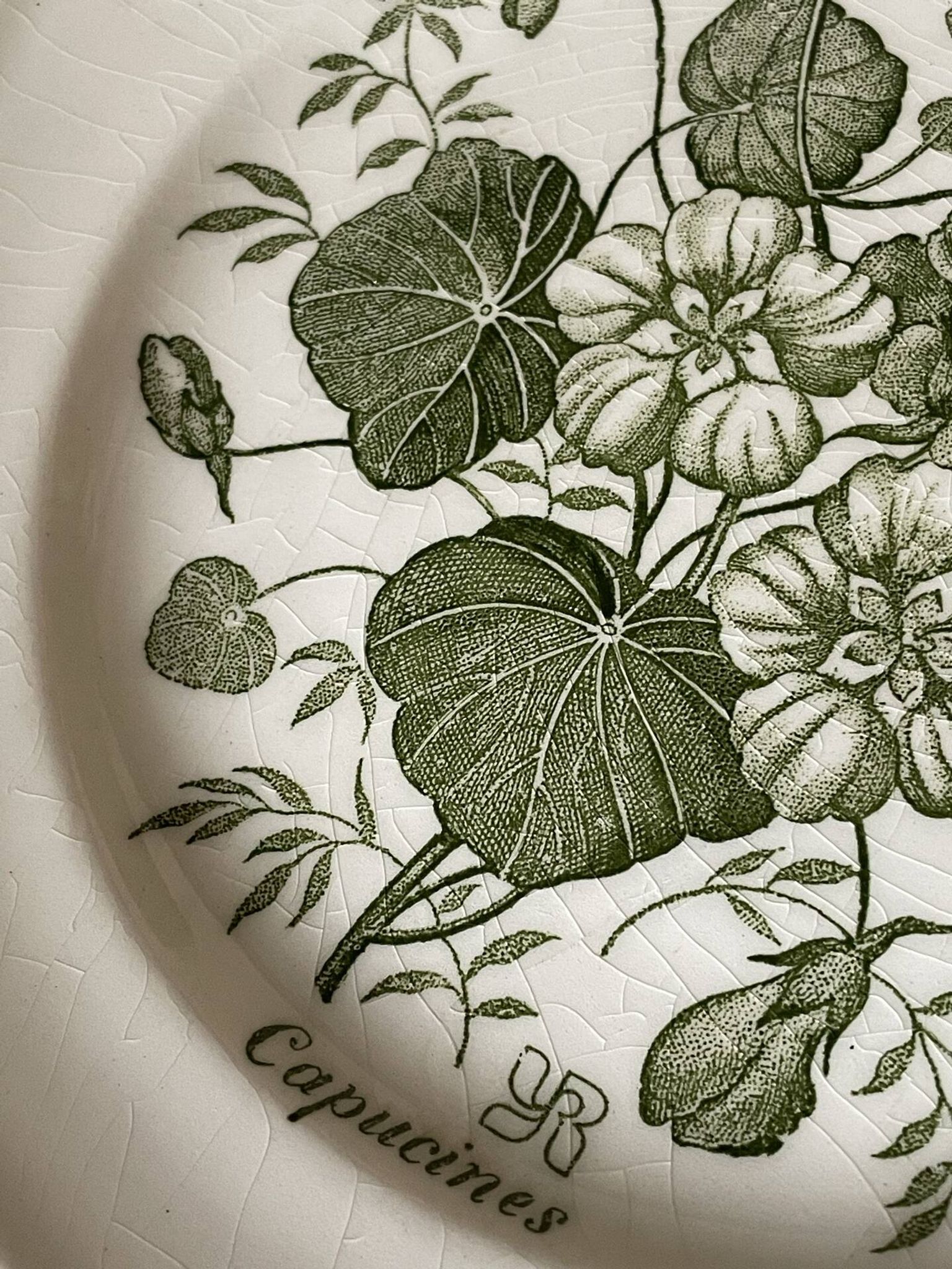 Five dessert plates "capucines" in Gien earthenware.