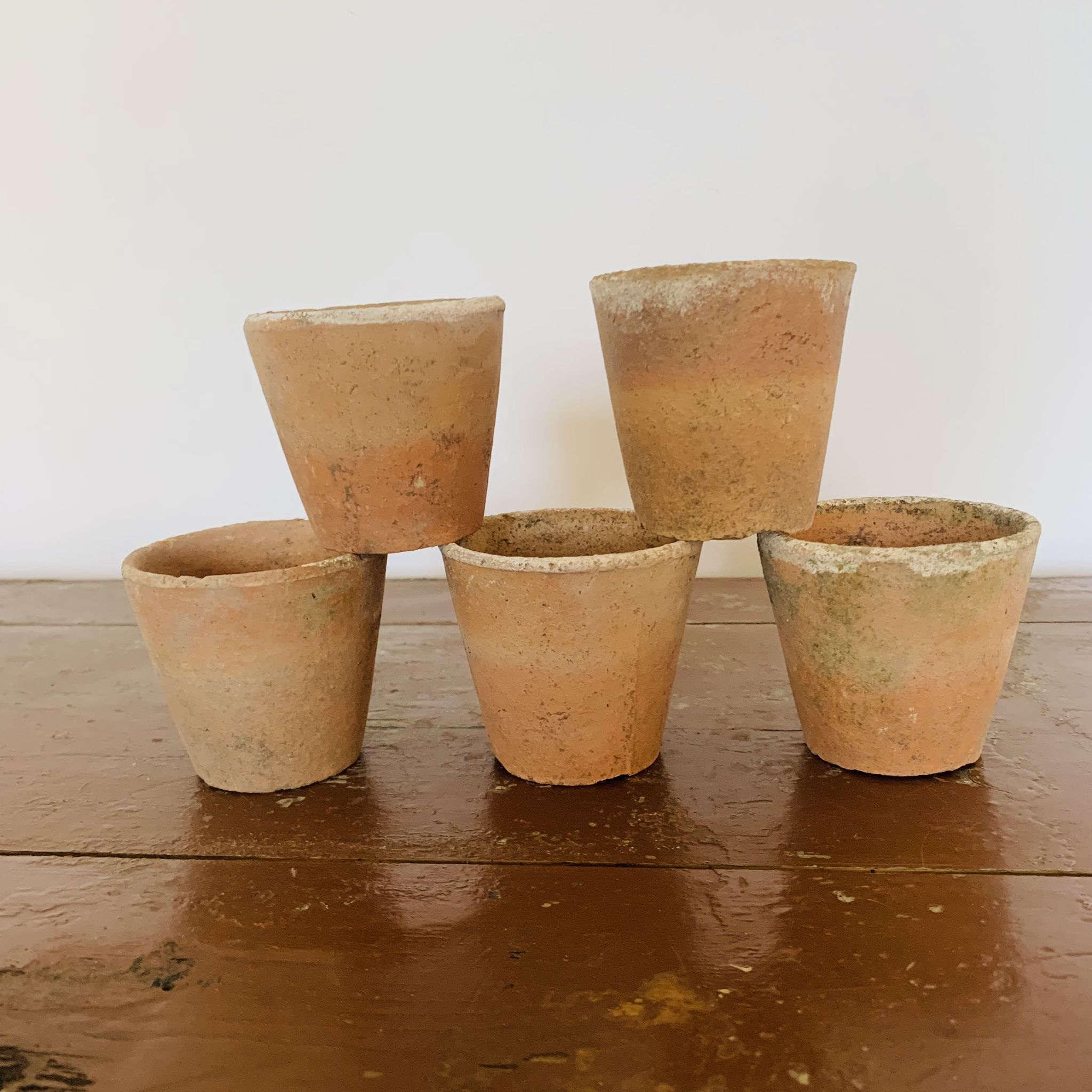 Lot de 5 pots en terre cuite circa 1930 graineterie