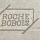 Roche Bobois Blogger Leather Sofa