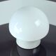Mid Century Ceiling Or Wall Lamp In Ceramic & White Opaline Glass, Czechosl