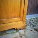 Antique wardrobe