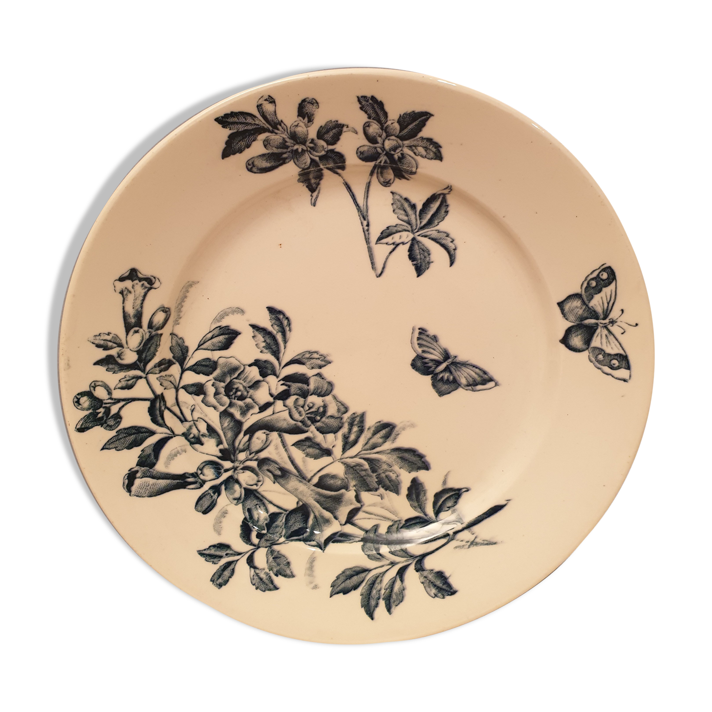 Flat plate Badonvillers