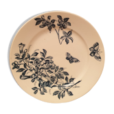 Flat plate Badonvillers
