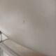 Fauteuil Knoll