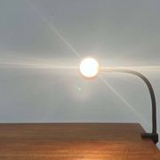 Cobra Snake clamp table lamp from the space age, 1970s