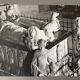 Silver photo Bernard Darot 20th statue La Force